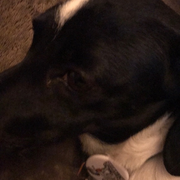 Meet your Posher, Patrick - Picture 1 of 1